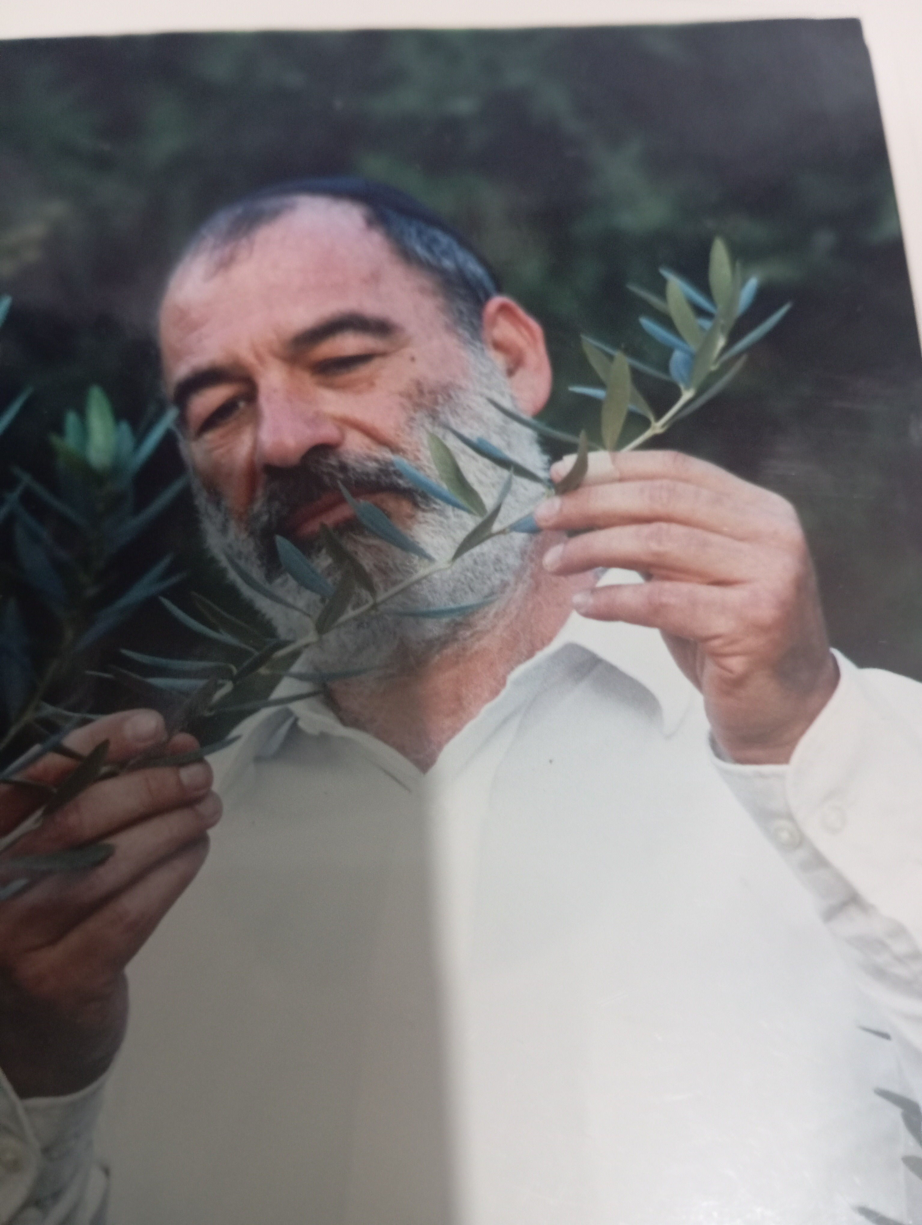 תמונת פנים