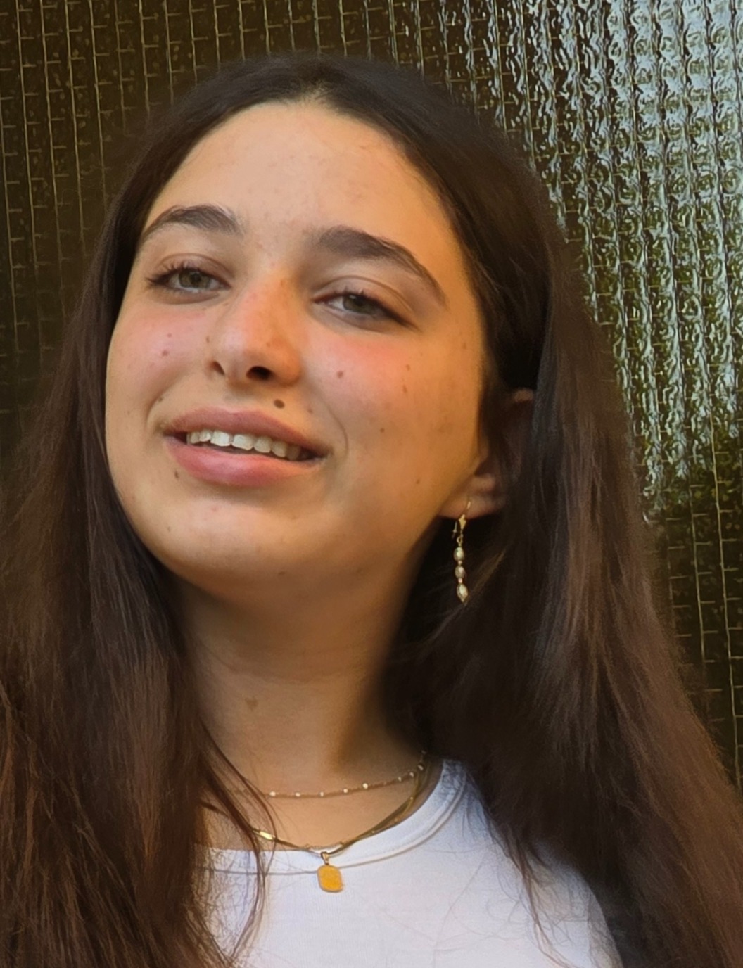 תמונת פנים