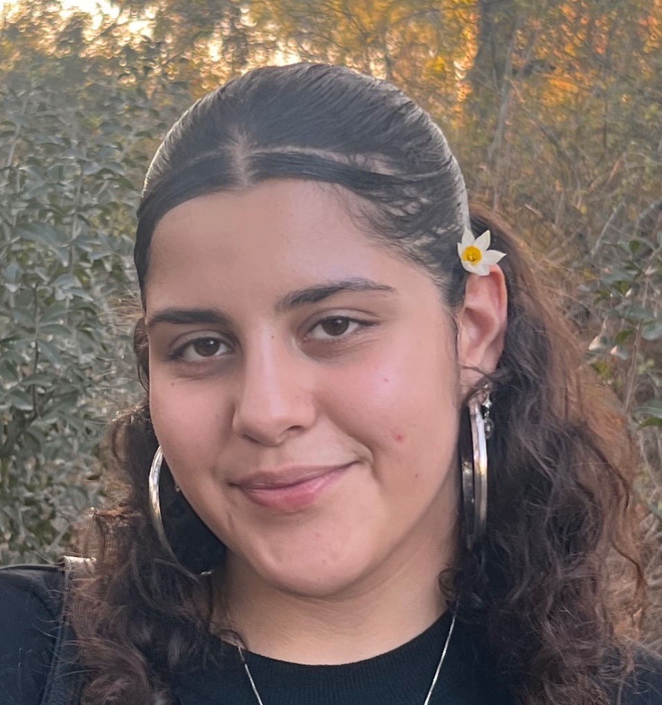 תמונת פנים