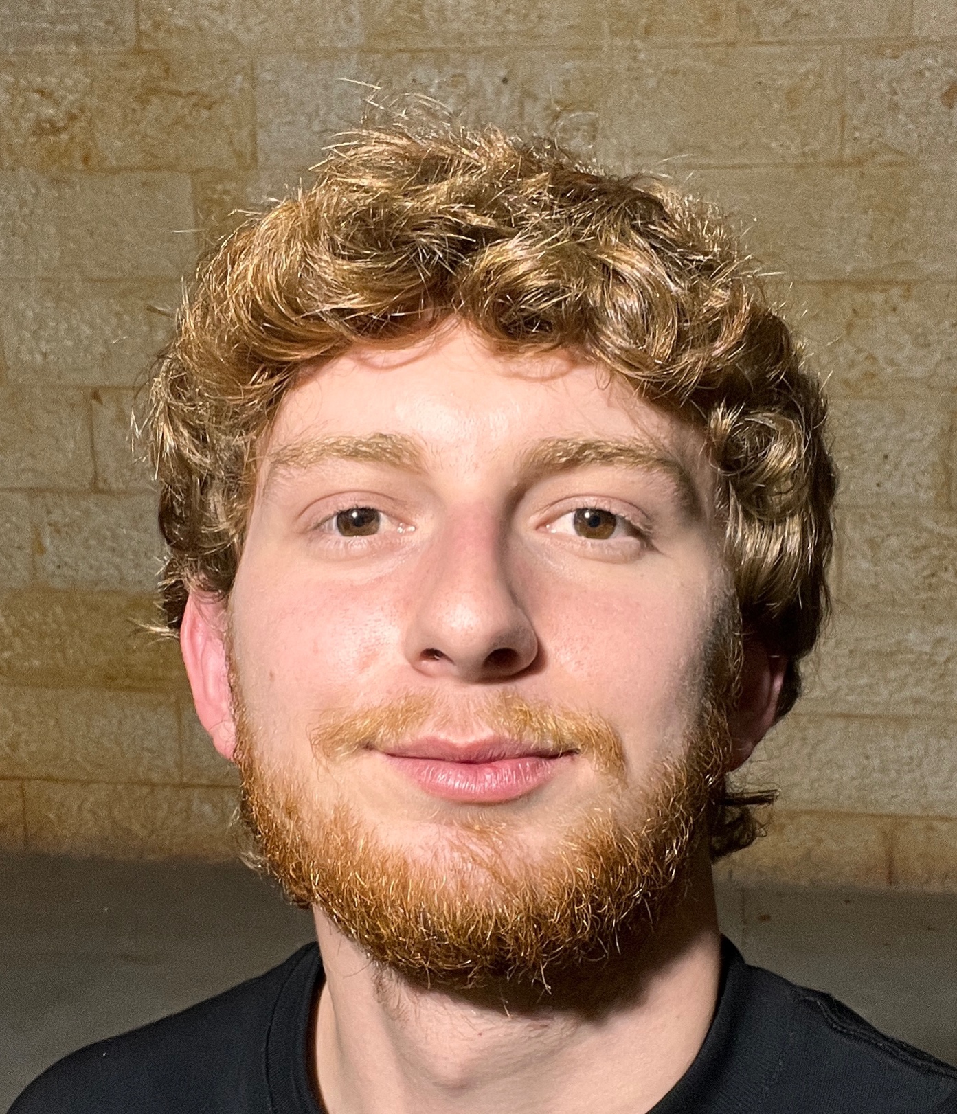 תמונת פנים