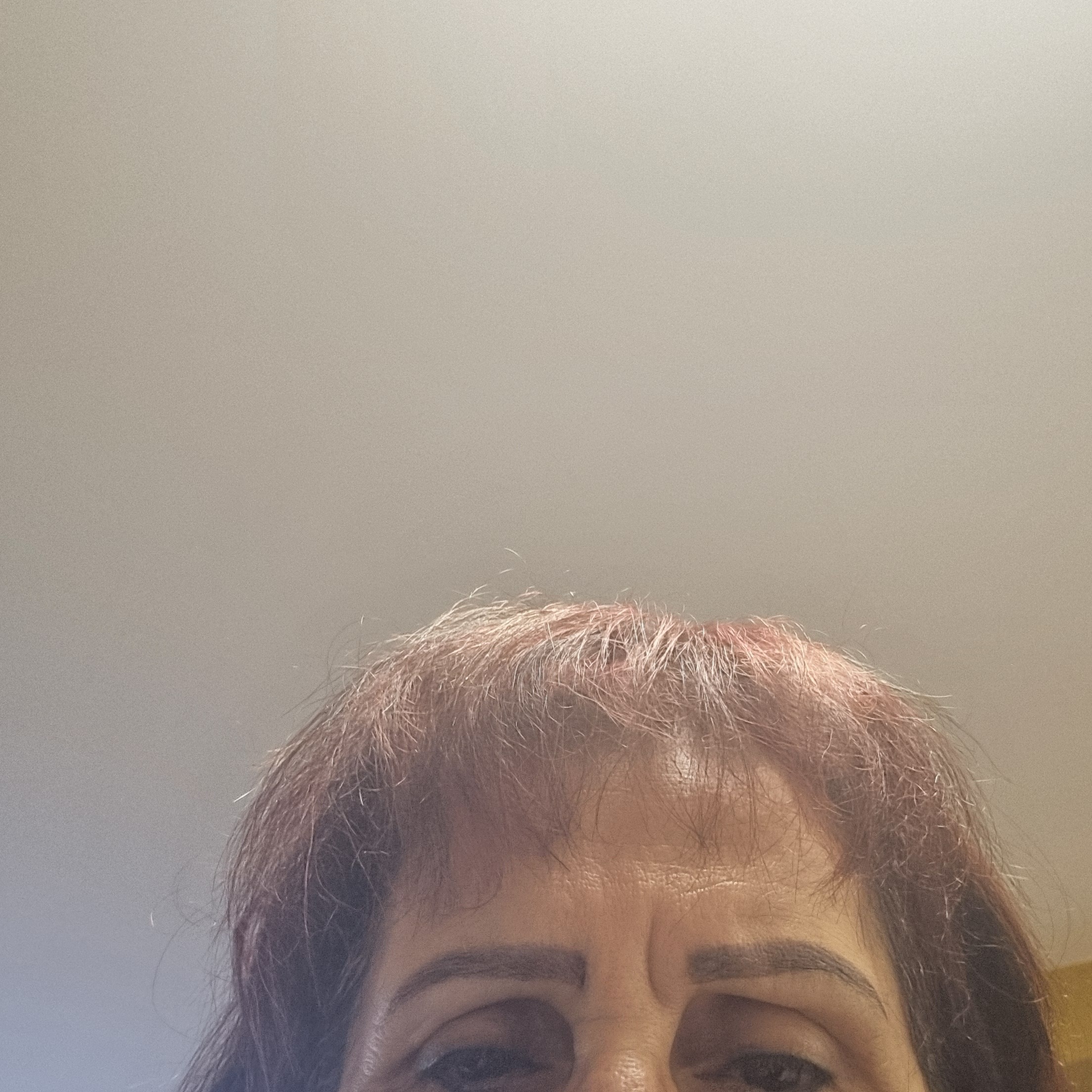 תמונת פנים
