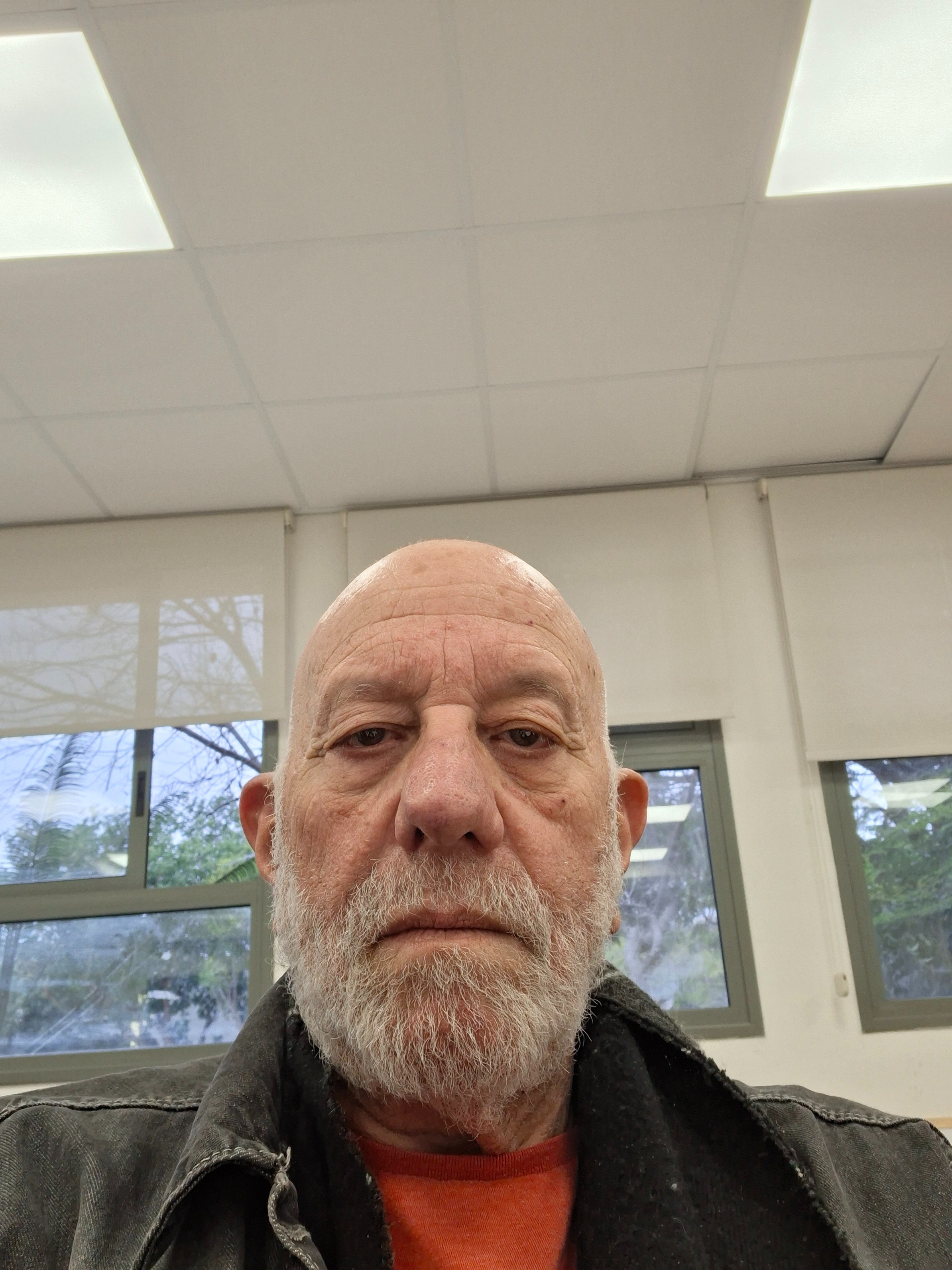 תמונת פנים