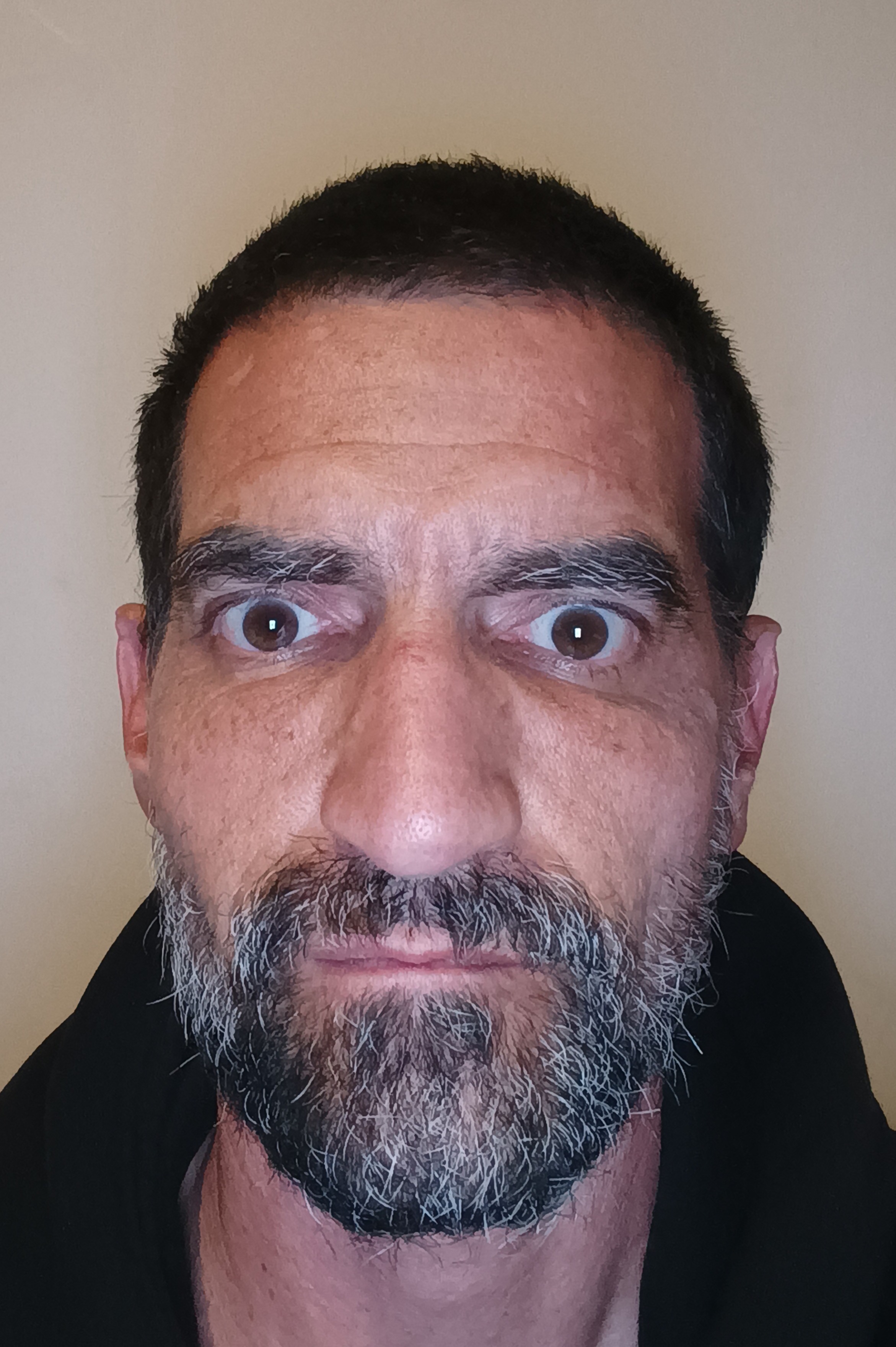 תמונת פנים