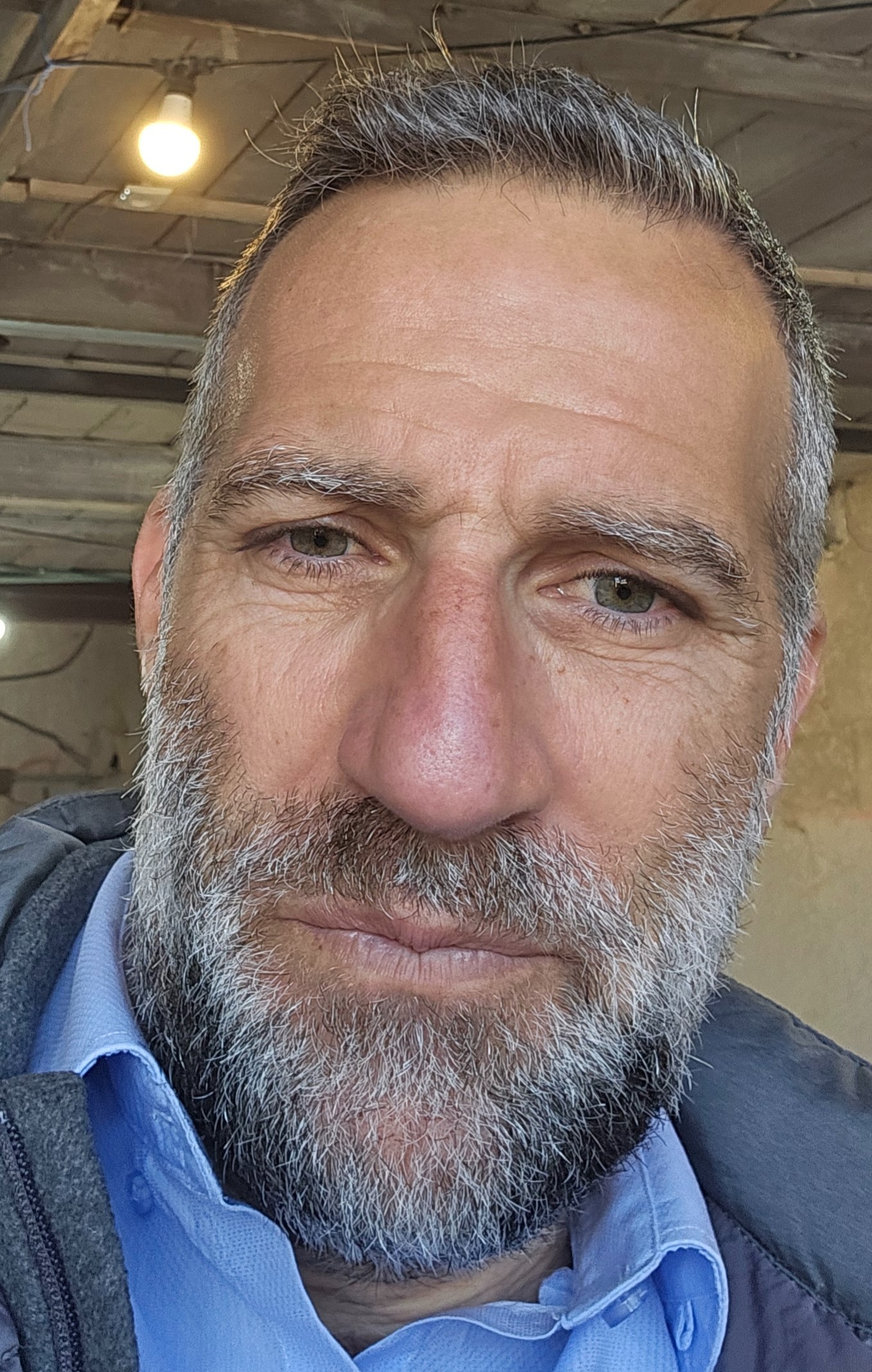 תמונת פנים
