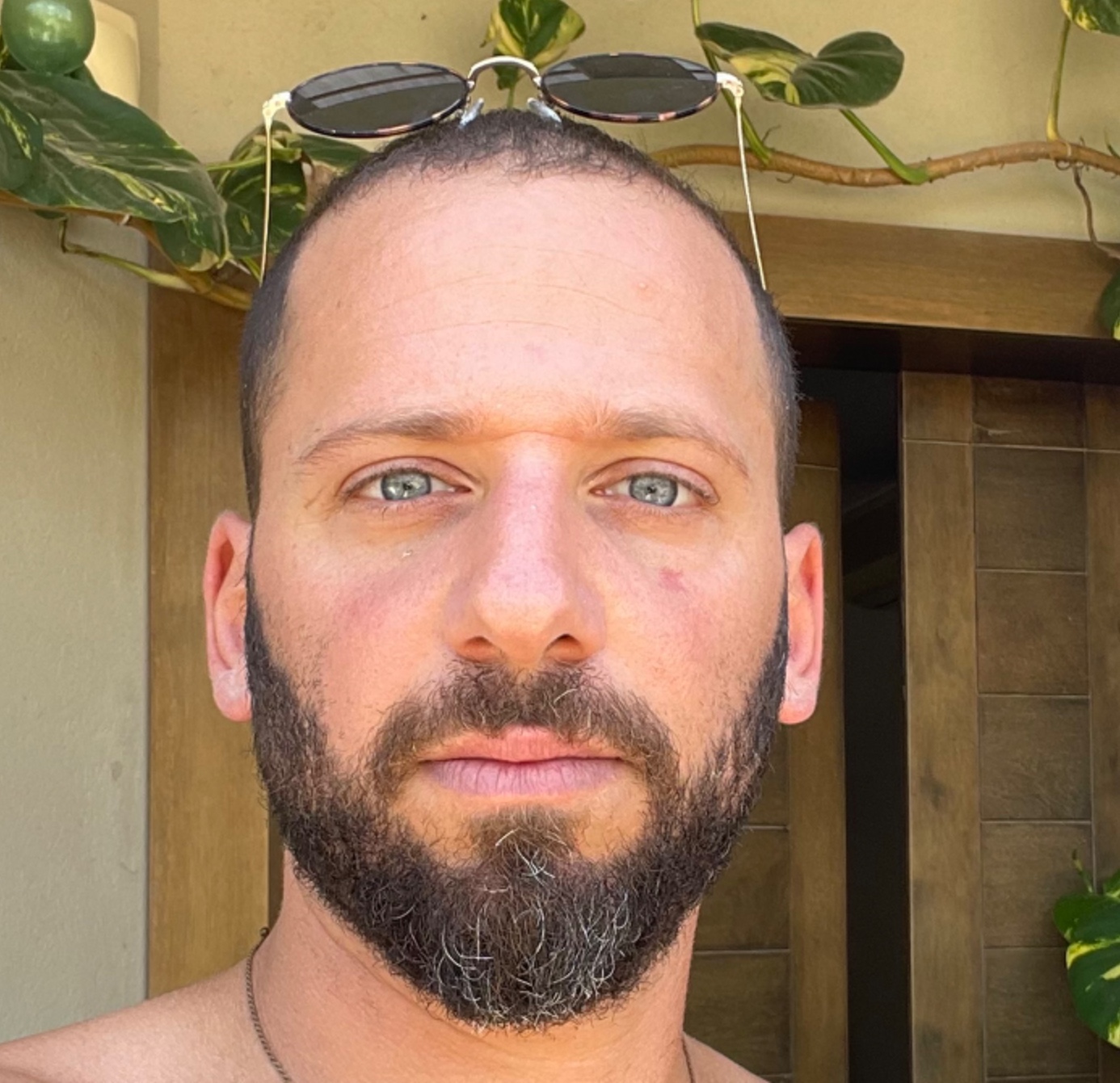 תמונת פנים